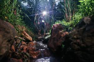 BIB: 
                            <button type="button" onclick="openModal(26418133)" class="btn btn-primary btn-sm float-right btn-popup" data-toggle="modal" data-target=".modal-high-quality">
                        <i class="fas fa-shopping-cart"></i> Add to Cart
                    </button>
                                            <button type="button" onclick="isThisMe(26418133, true)" class="btn btn-success btn-sm float-right btn-popup btn-isme hidden" data-toggle="tooltip" data-placement="bottom" title="นี่คือรูปของคุณใช่ไหม คลิกที่นี่เพื่อเอาเข้าอัลบั้ม">
                        <i class="fas fa-plus"></i> Add to album
                    </button>
                    <button type="button" onclick="isThisMe(26418133, false)" class="btn btn-warning btn-sm float-right btn-popup btn-isnotme hidden">
                        <i class="fas fa-ban"></i> Remove from album
                    </button>